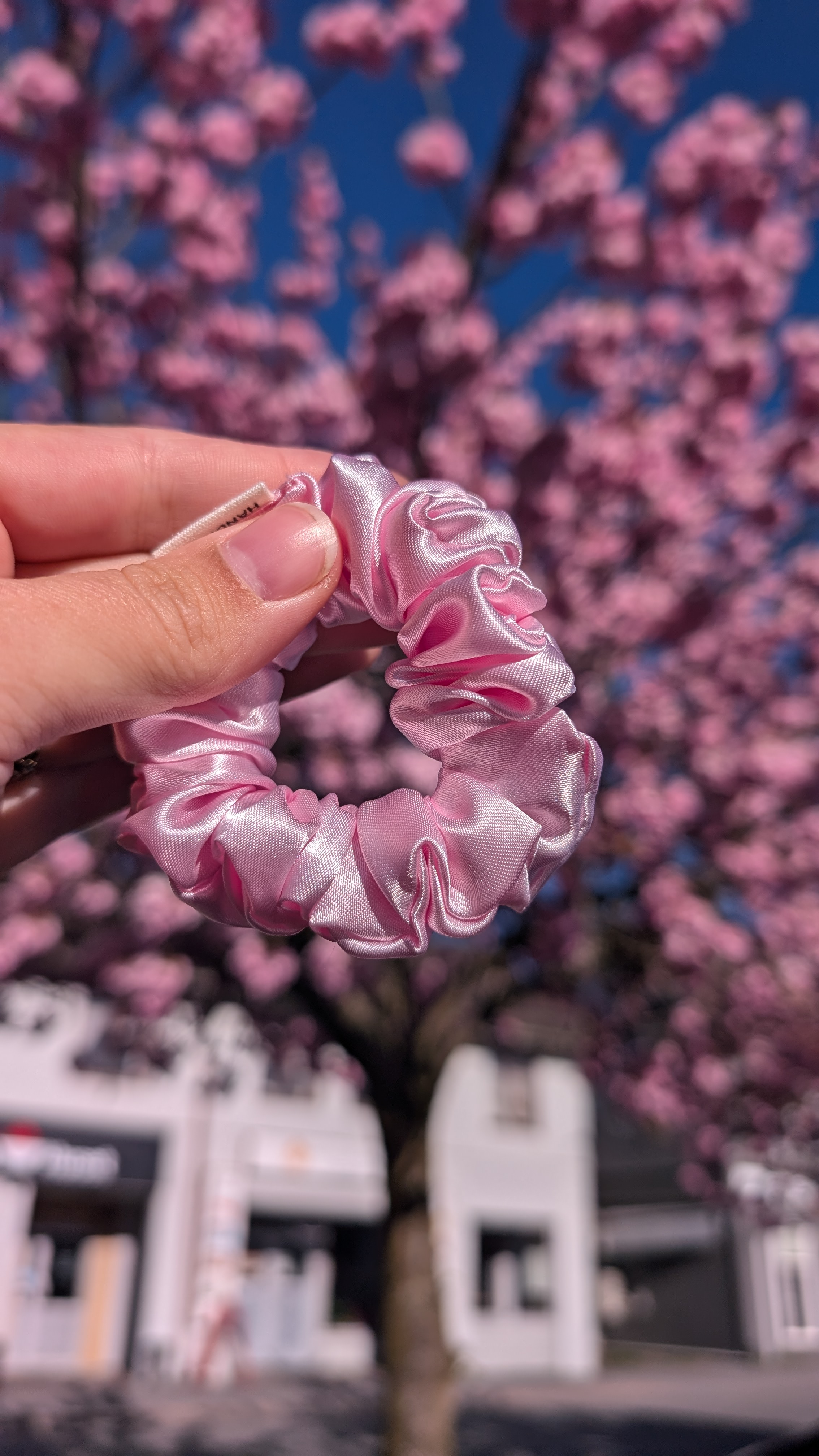 Scrunchie – Myk Rosa