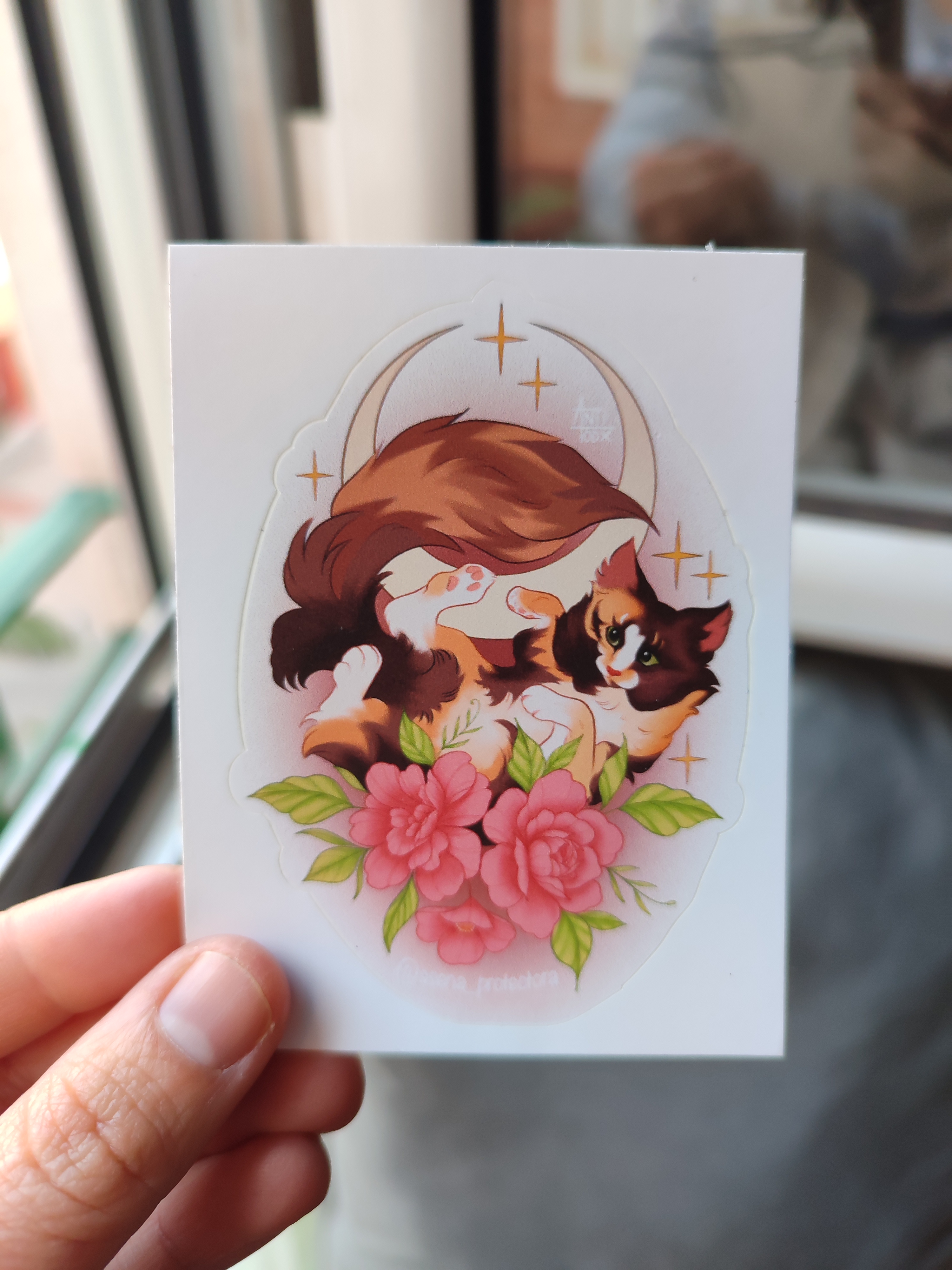 Pegatina Gato
