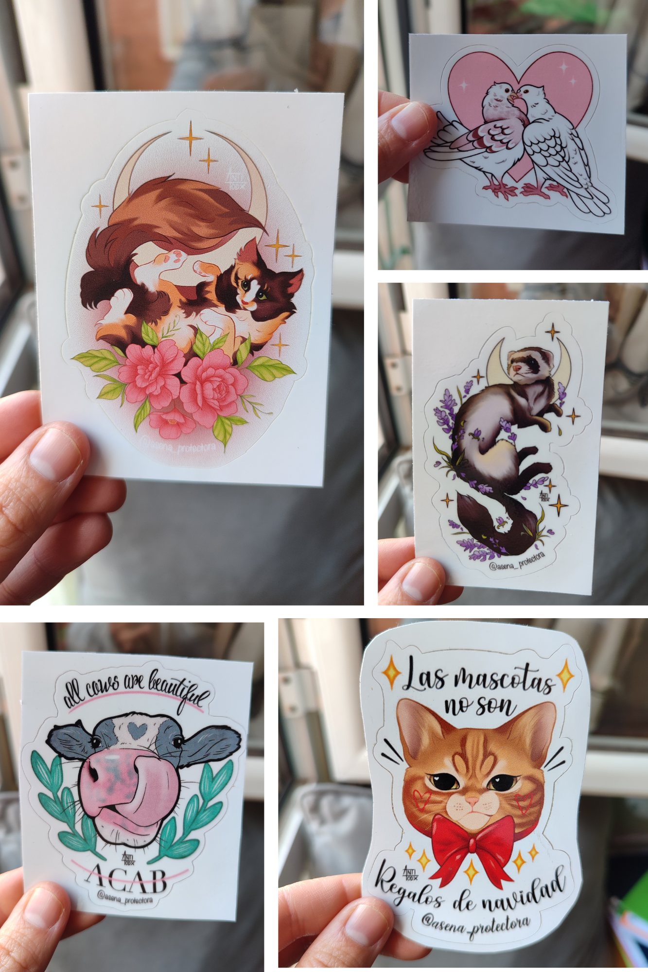 Pack pegatinas