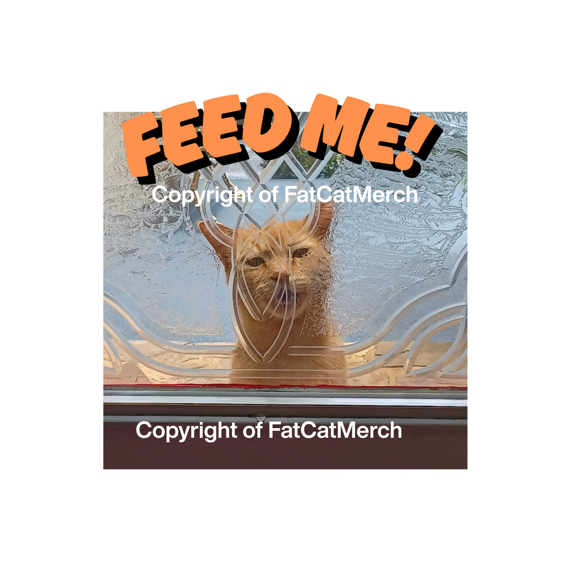 STICKER - FEED ME! Demanding Ginger Cat!