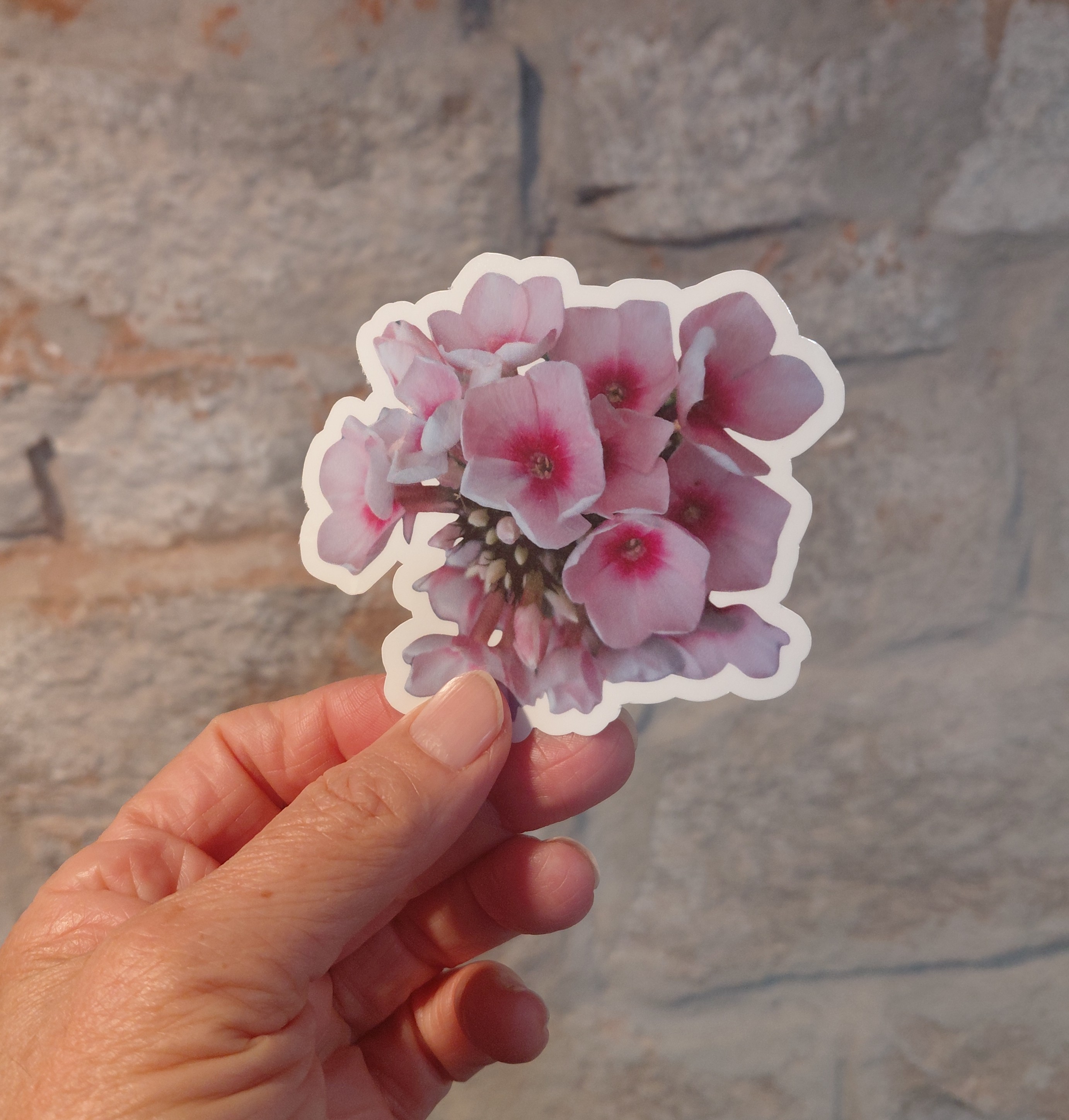 STICKER - Nature - Pink Flowers in Stone Mountain, Georgia!