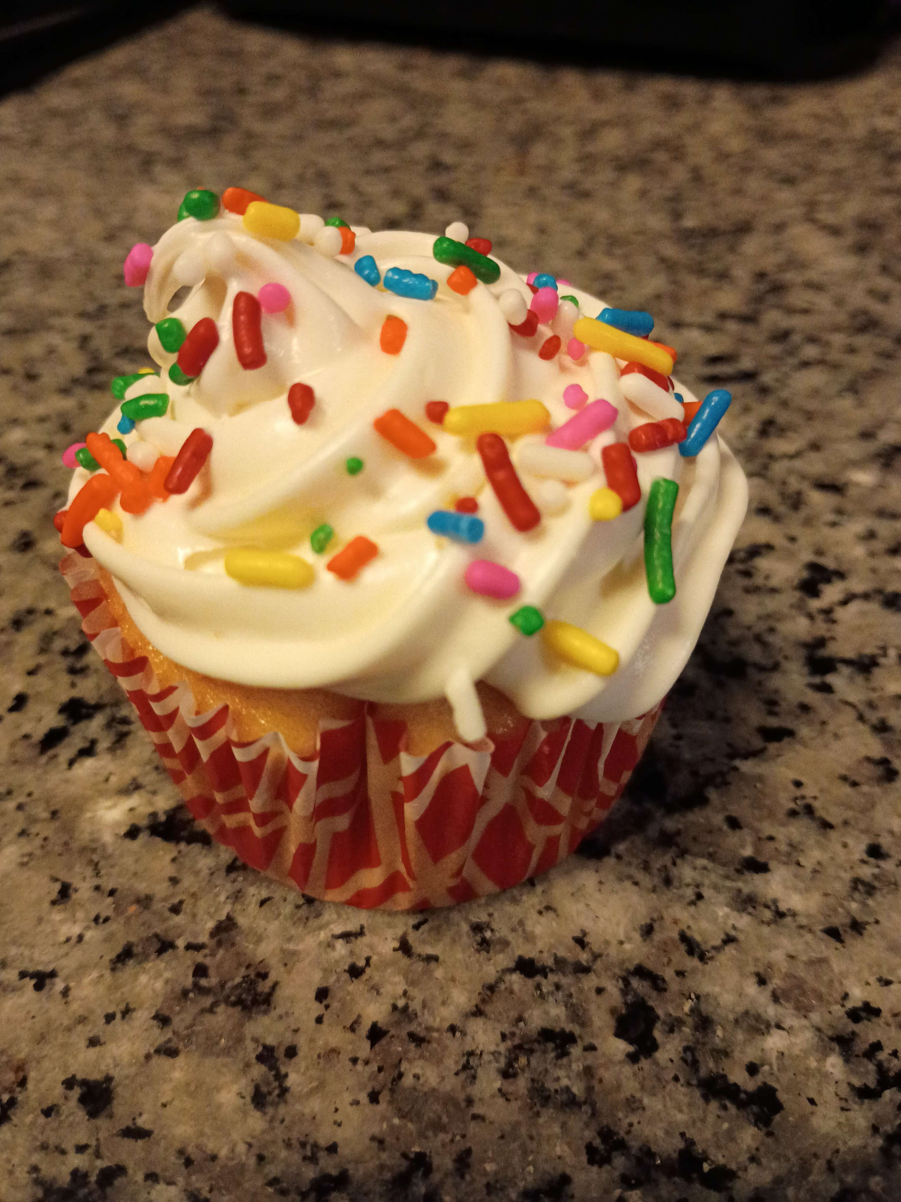 Vanilla Cupcakes (6)