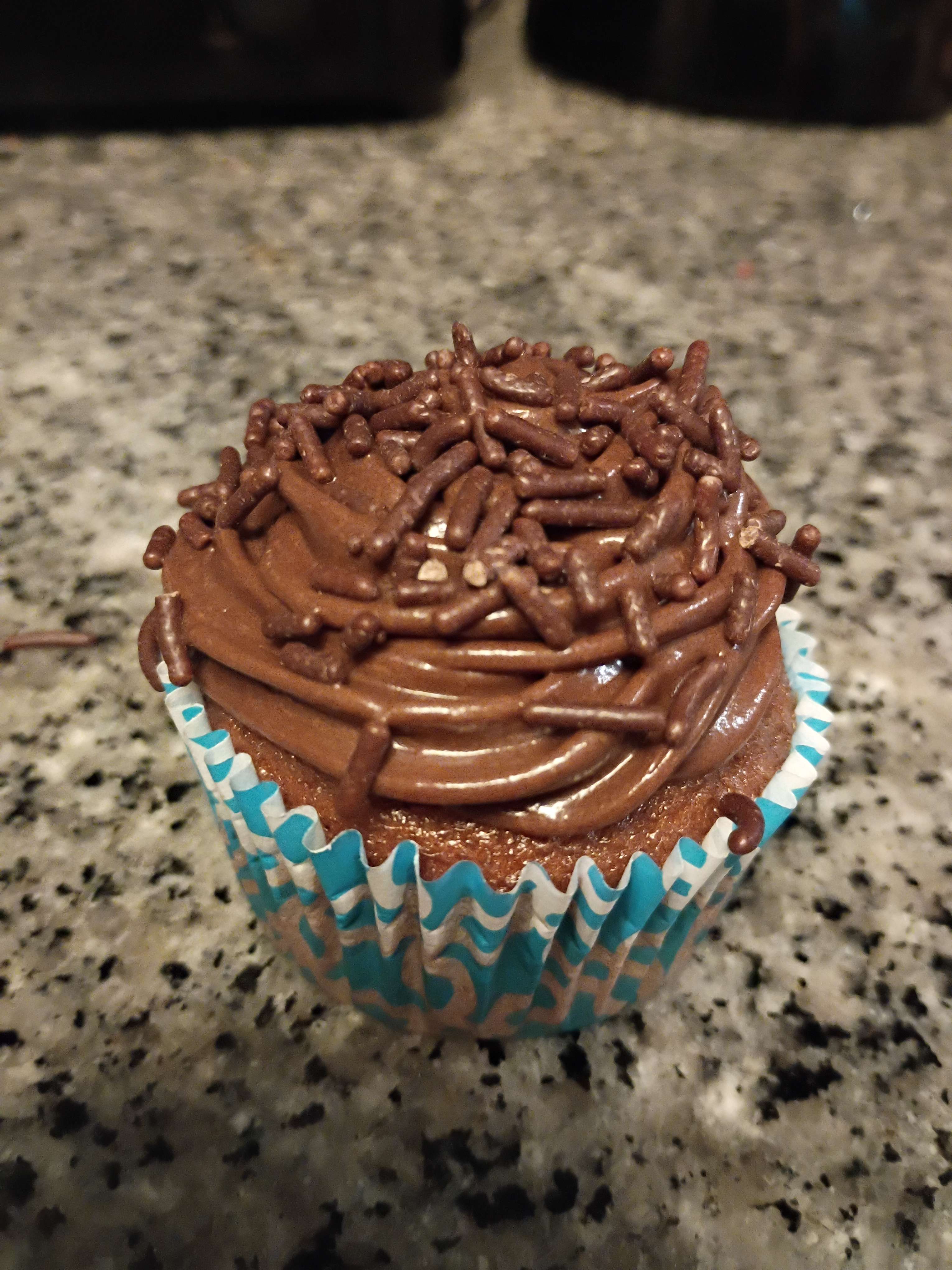 Chocolate Cupcakes (6)