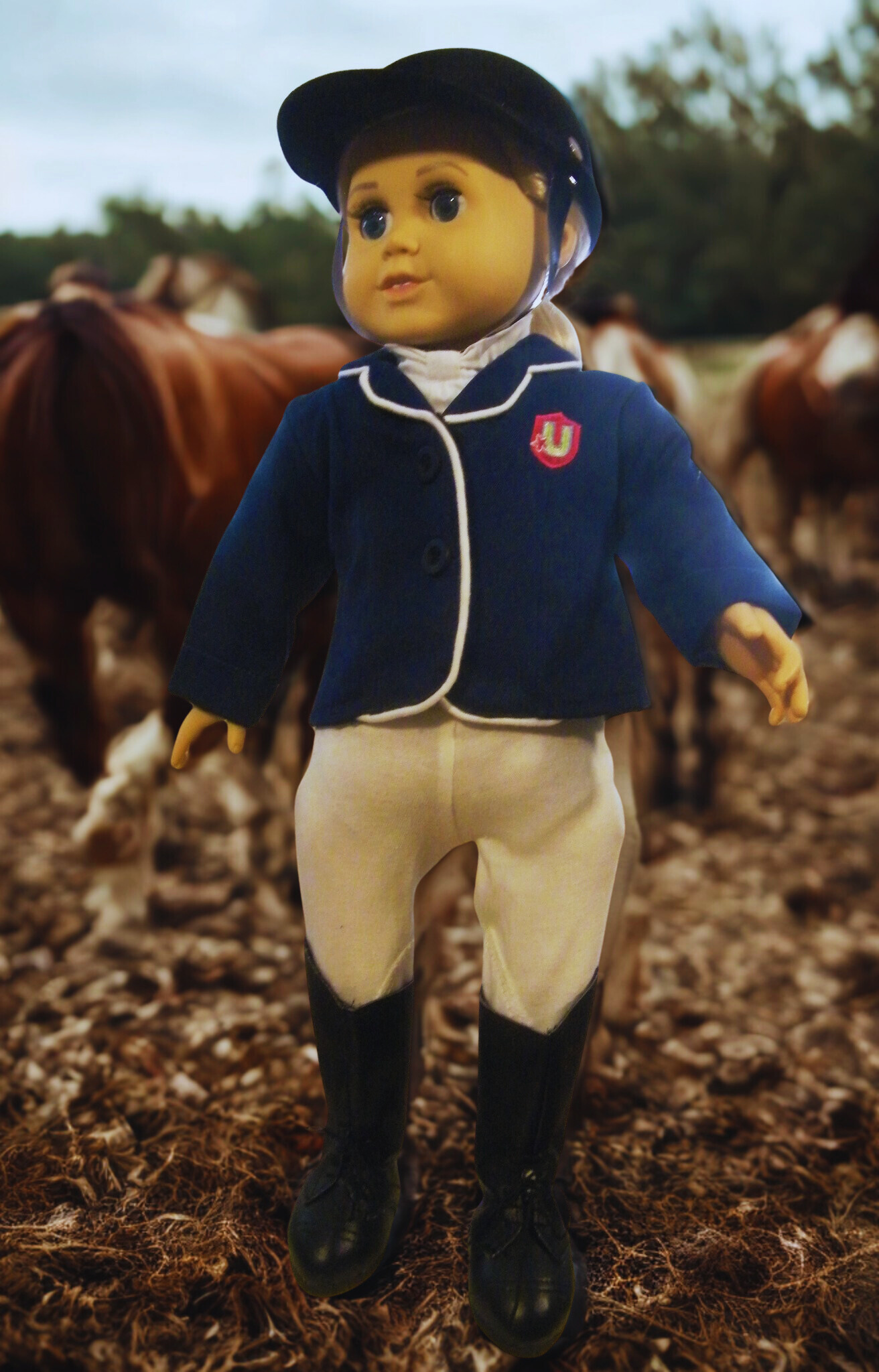 EQUESTRIAN RIDING SET