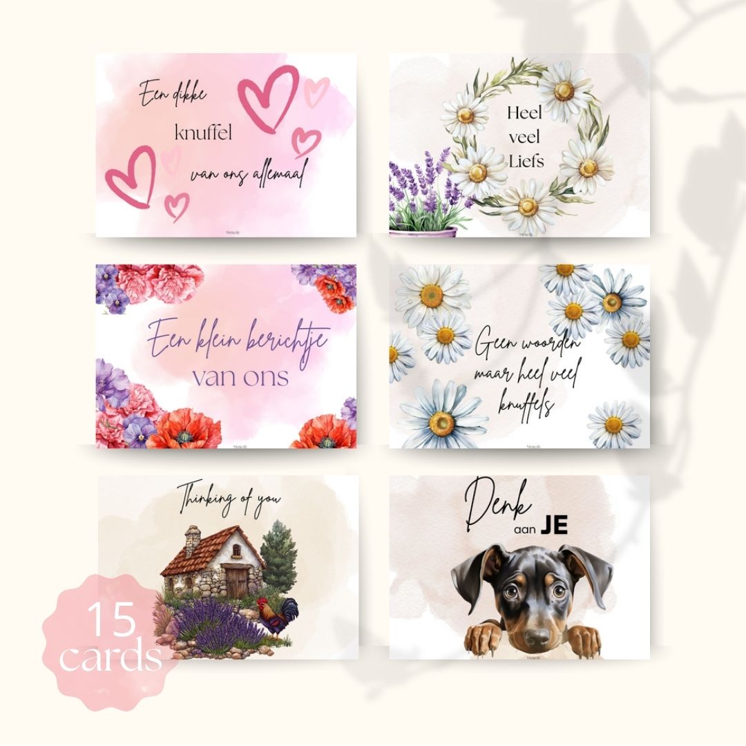 Veel liefs en knuffels, set met 15 kaarten | $5,72