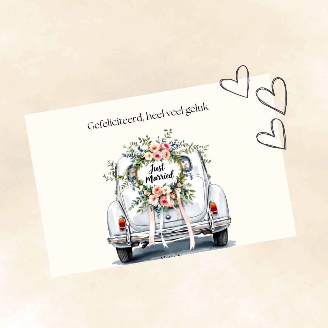 Mixed cards schildpadje, set van 5 kaarten | $2,23