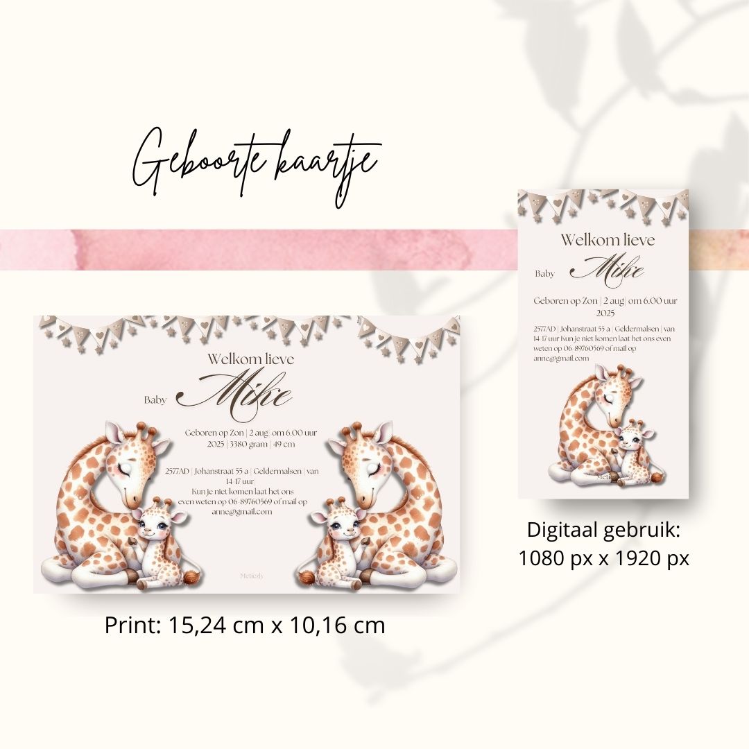 Baby set Giraffe met baby | $13,73