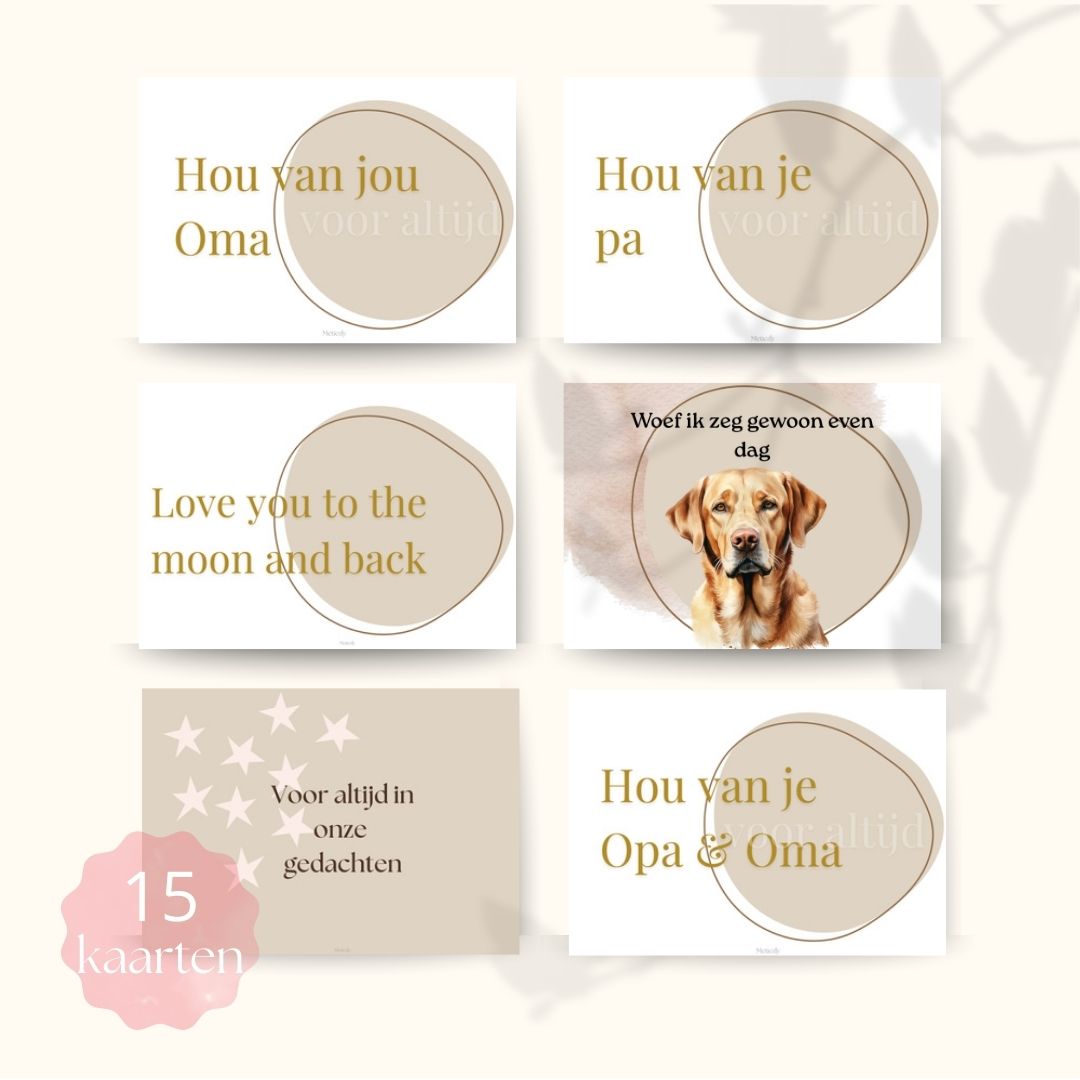 Kopje met eekhoorn, set van 15 kaarten | $5,72