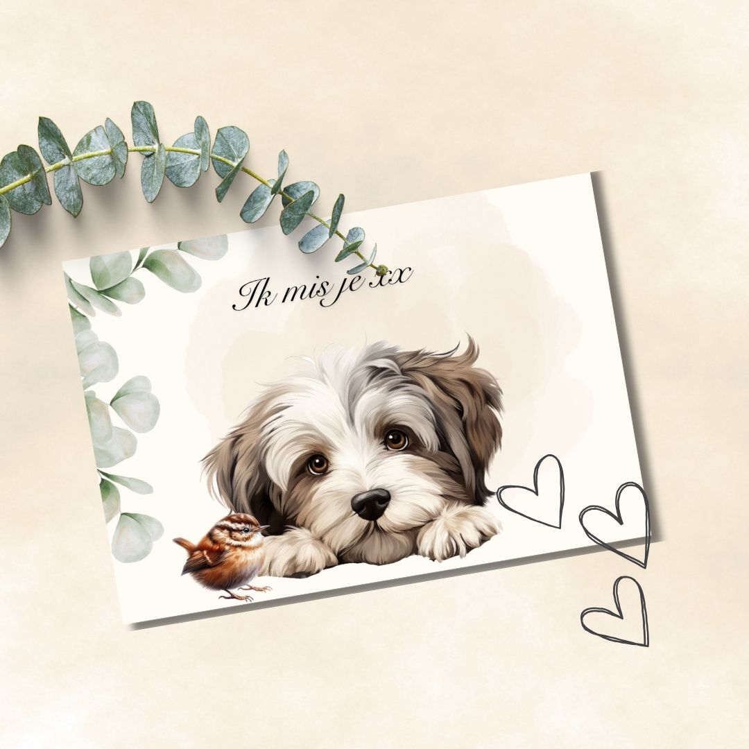 Beige honden kaartjes, set van 15 kaarten | $5,72