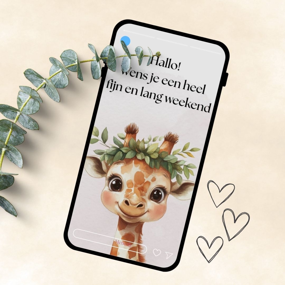 Ansichtkaarten voor op je mobiel te versturen | Pas de tekst gemakkelijk zelf aan | set van 15