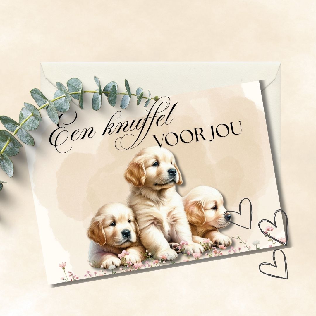 Beige honden kaartjes, set van 15 kaarten | $5,72