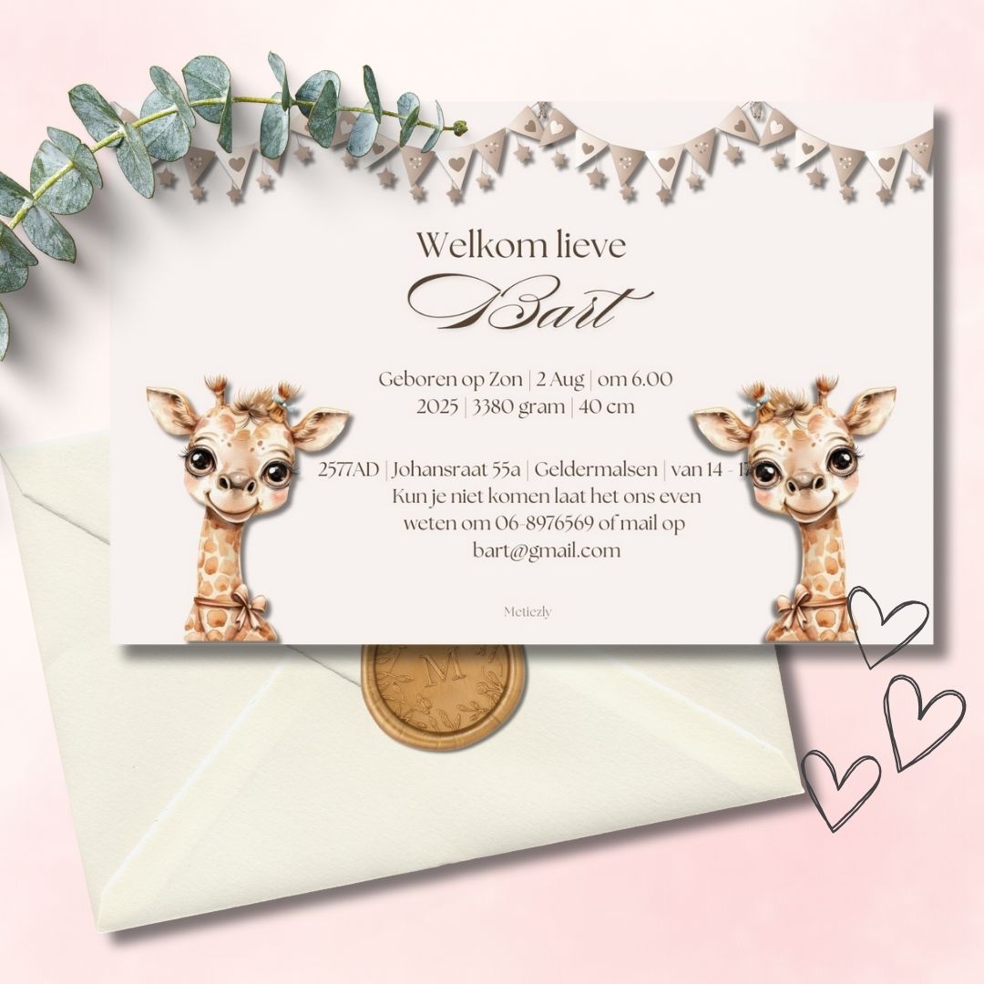 Baby set, cute giraffe, aanpasbare templates | $13,73