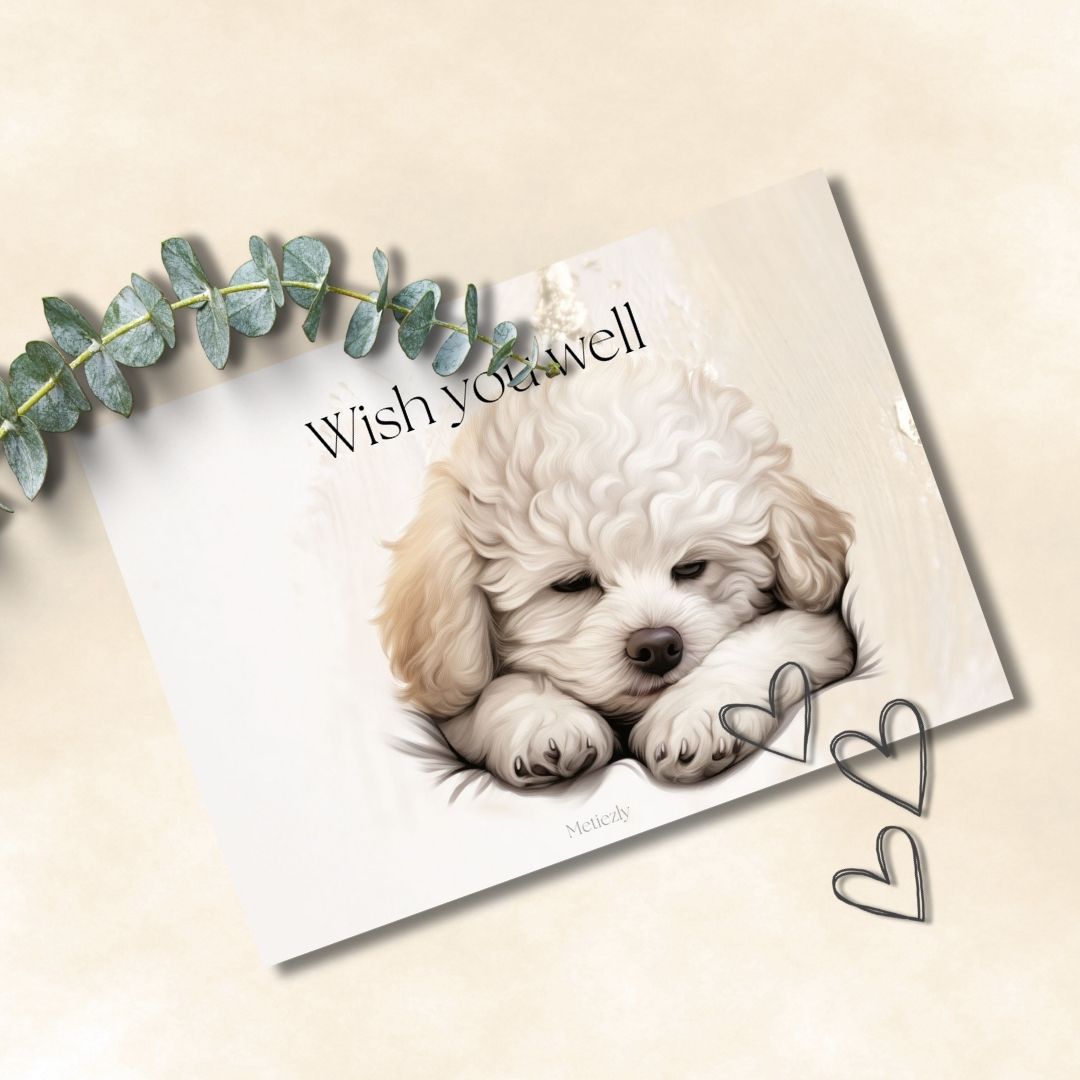 Grandma, set of 5 cards | $2.23