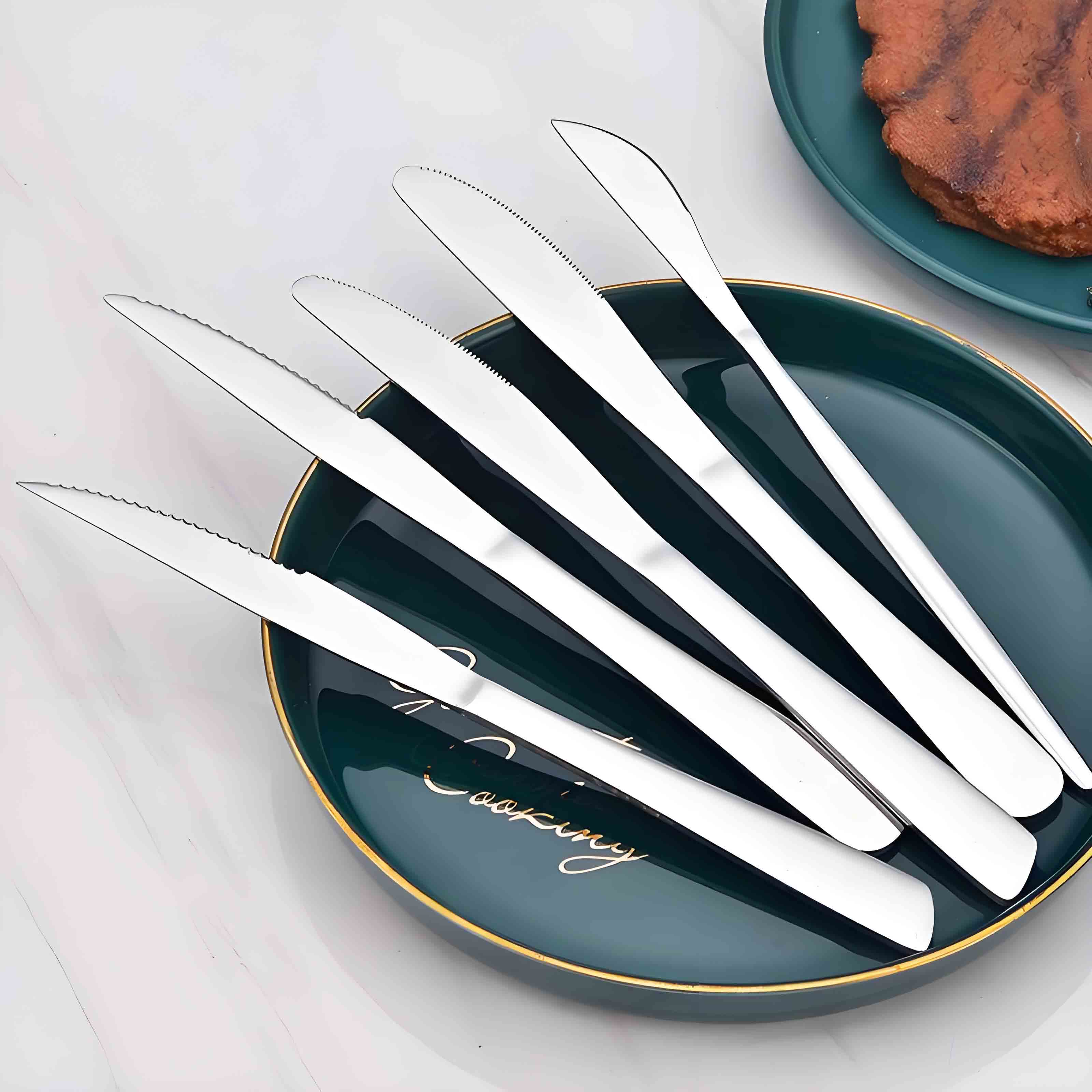 Stainless Steel Dinner Knives Set