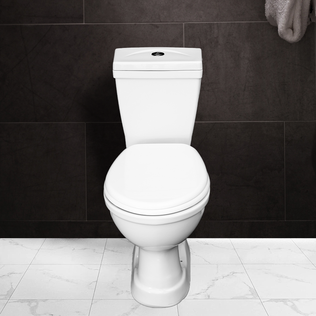 Siége Anglais Corail