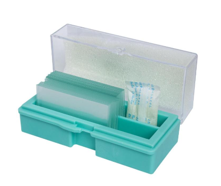 Lamínula 24 X 40 Mm. 1.000 Un/Cx Fl6-40-100 