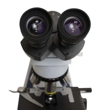 Microscópios