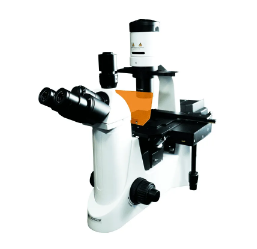 Microscópio biológico Invertido Ótica infinita e Contraste de fases com kit de Fluorescência - BIO-INVERT-FLUO-BI