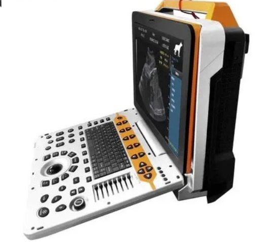 Ultrassom Portátil US60 TURBO Doppler Colorido