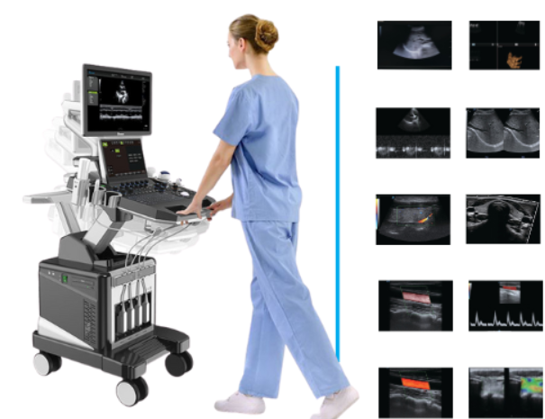  Ultrassom profissional 4D AMA DW-T8 