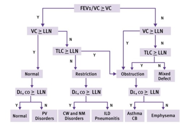 Espirometria EasyOne ProLab®LAB DLCO portátil, MBW, volumes pulmonares, LCI e espirometria