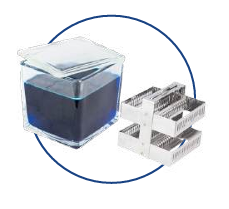 Cubas de Coloração