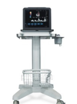 Ultrassom Cardiovascular Portátil 4D DW-P8/AMA US80