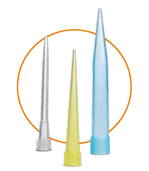 Ponteiras sem Filtro