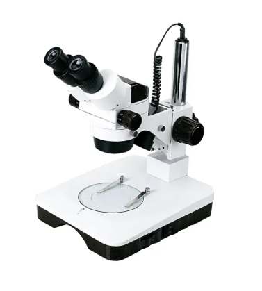 Estereomicroscópio Binocular - ECZ-BLACK-BI-90-L-BI