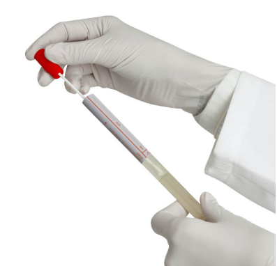 Swab para Coleta com  Meio de Transporte