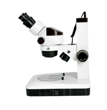 Estereomicroscópio Binocular - ECZ-BLACK-BI-90-L-BI
