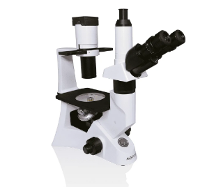Microscópio Biológico Trinocular invertido Ótica infinita e Contraste de fases - BIOINVERT-TRINO-CF-BI