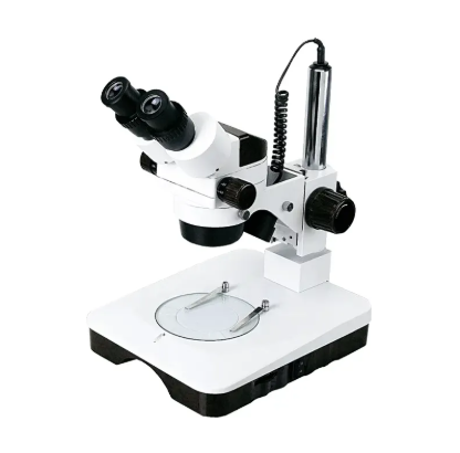 Estereomicroscópio Binocular - ECZ-BLACK-BI-45-L-BI