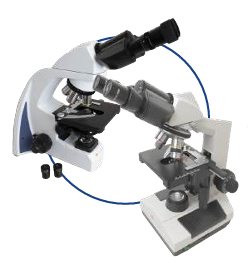 Microscópios