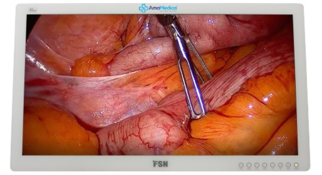 Monitor 31" 4K modelo FS-P3102D / P3102DS / P3102DG