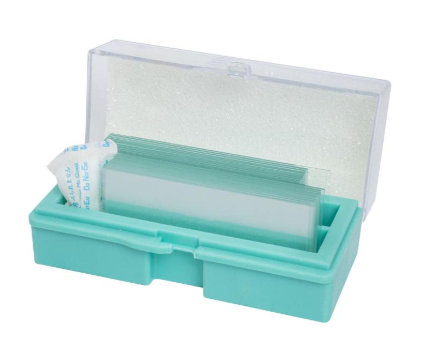 Lamínula 24 X 50 Mm. 1.000 Un/Cx Fl6-50-100