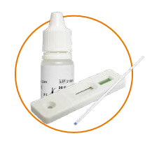 Chikungunya IgG/IgM LF