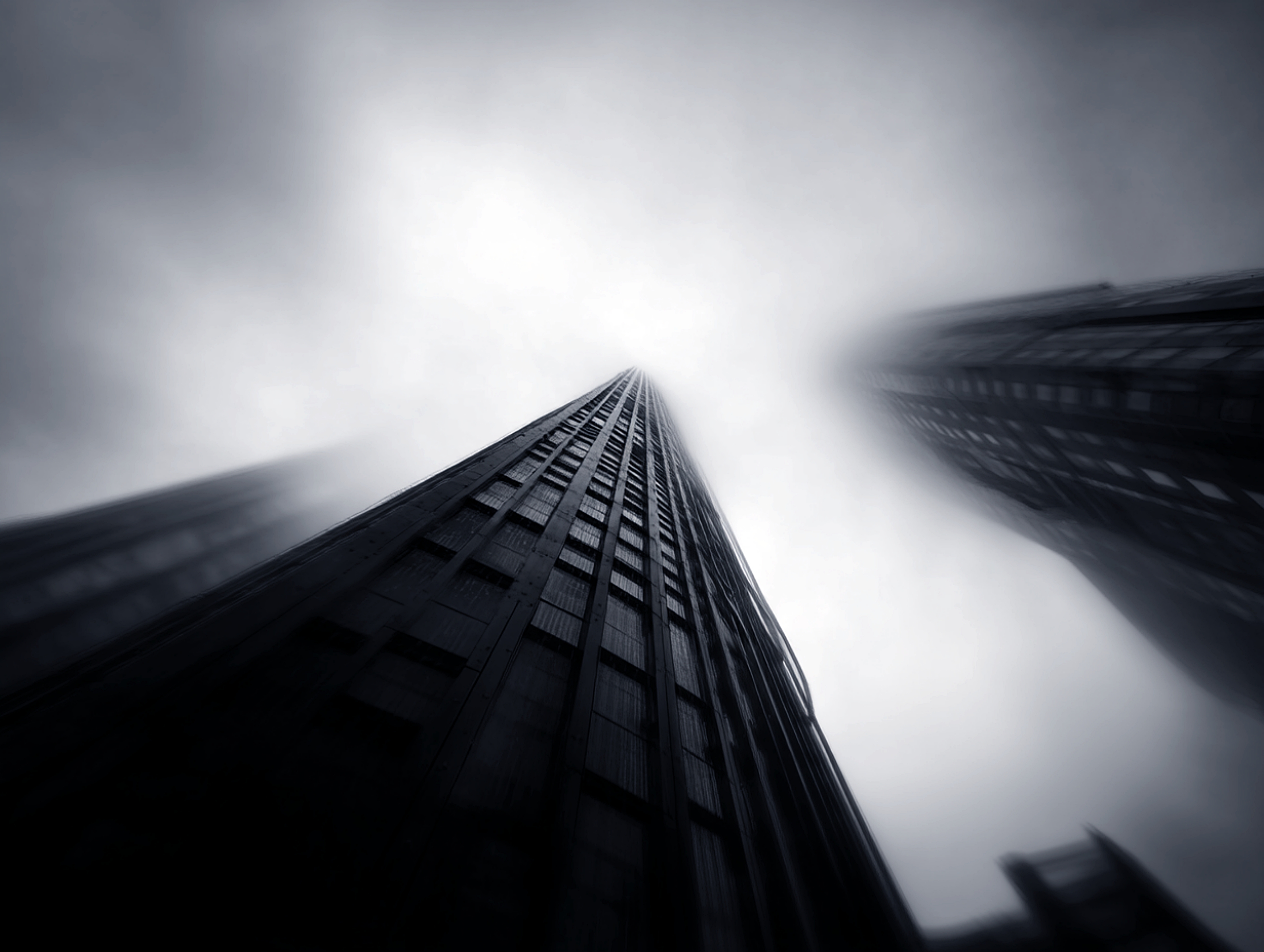 Dreams of Suspended Nature