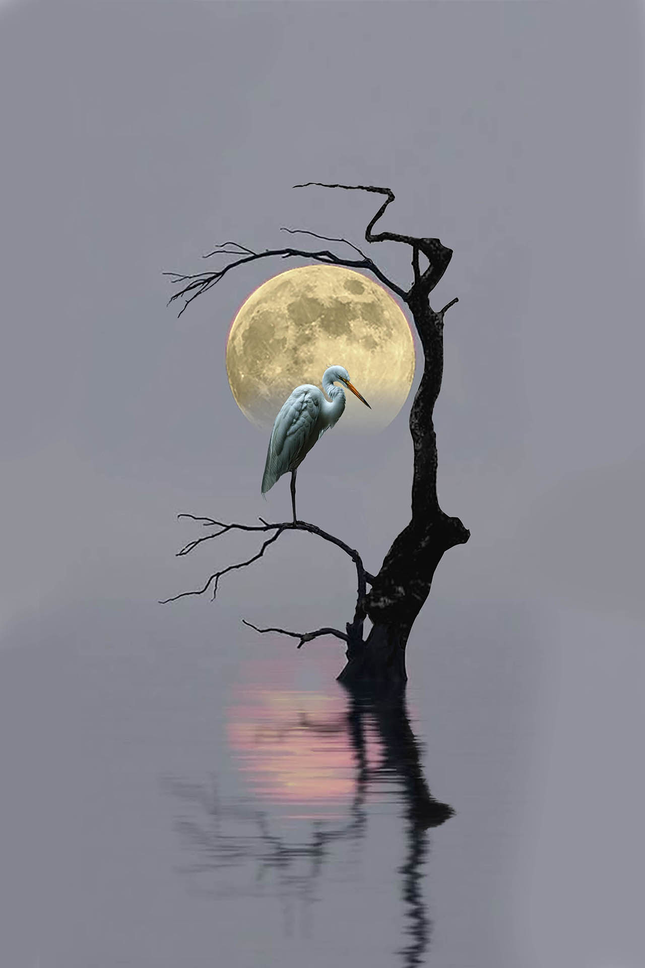 Moonlit Heron Art Print