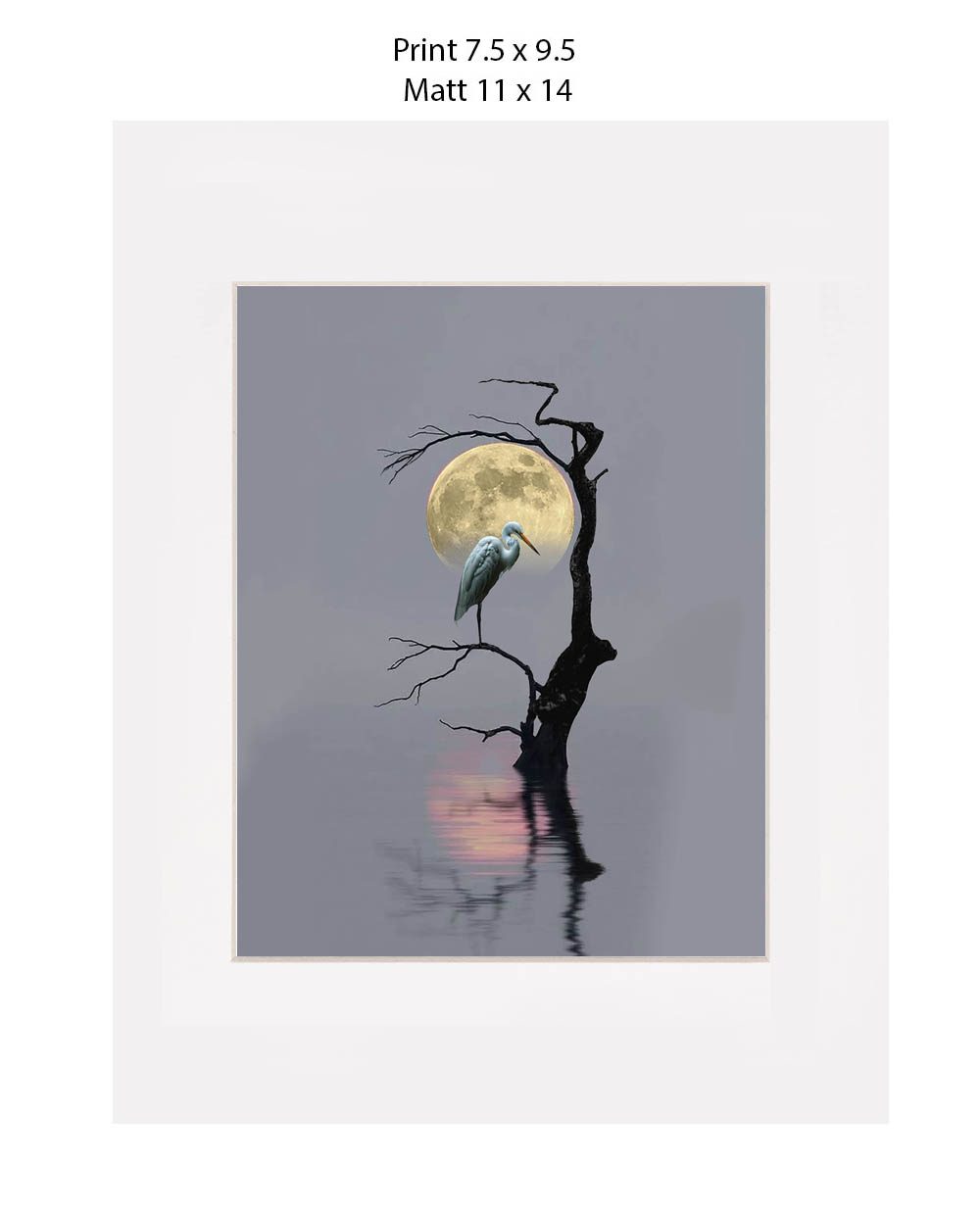 Moonlit Heron Art Print