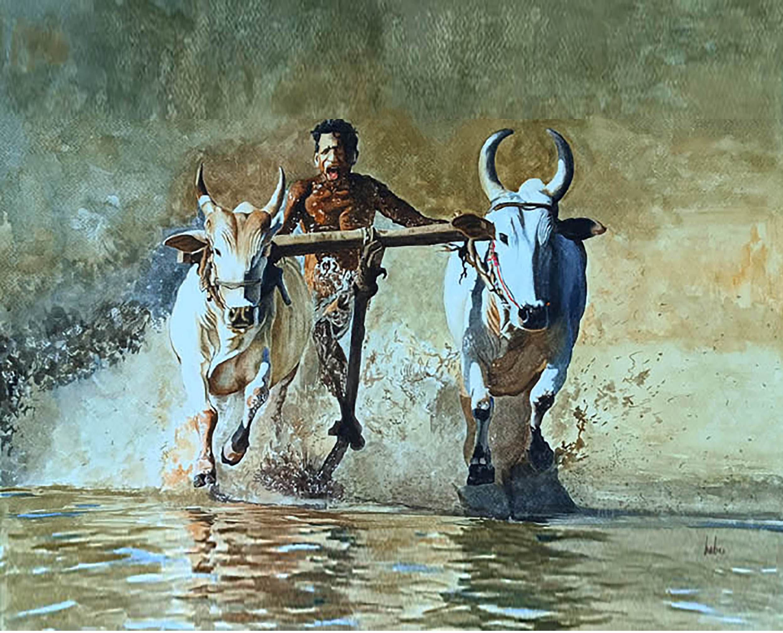 The bulls