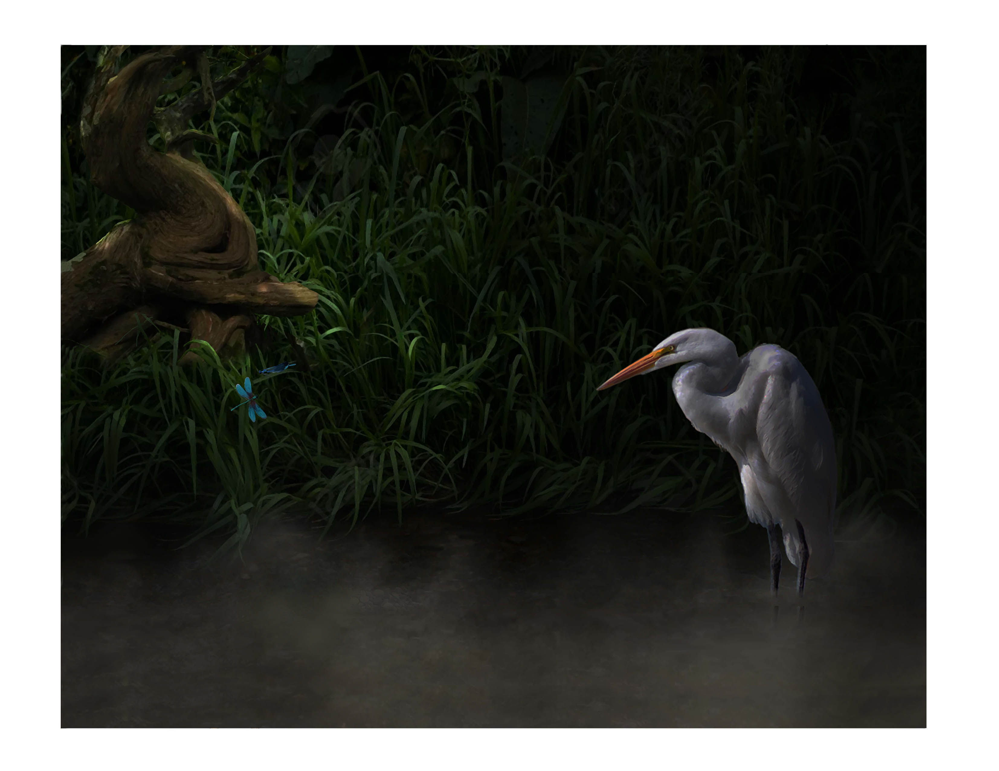 Egret and Butterfly