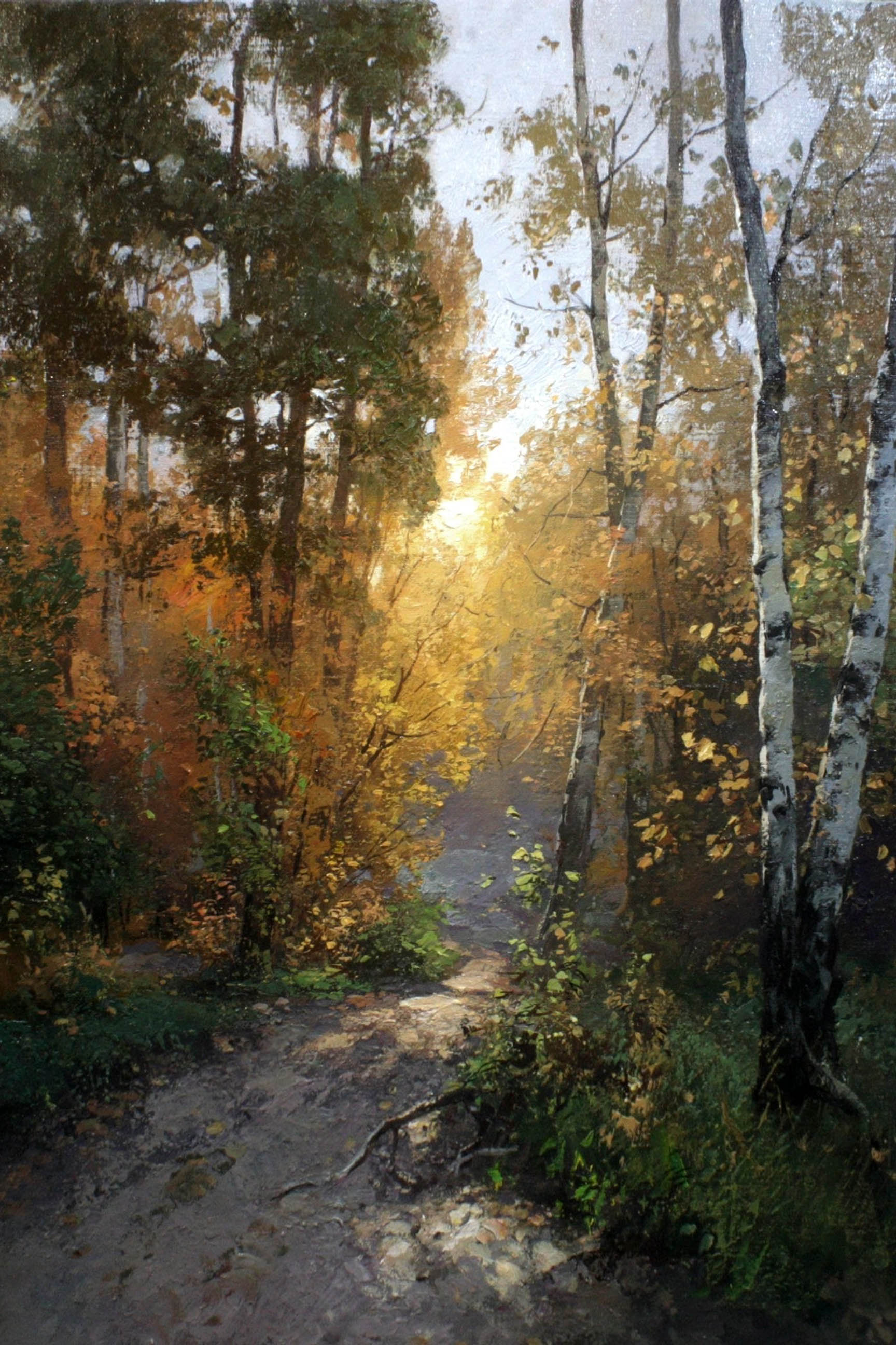 Sunlight Trees Click to enlarge