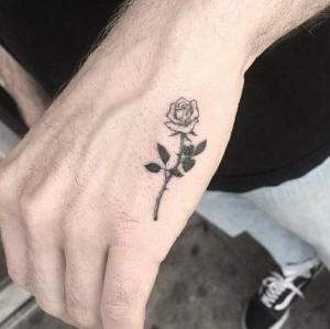 Borrado de Tatuje 5x5