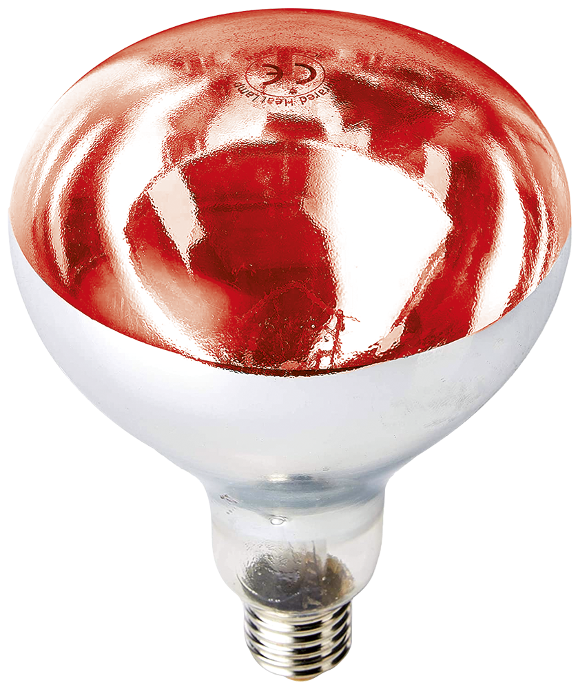 Bombilla calentadora inastillable  ES-250W