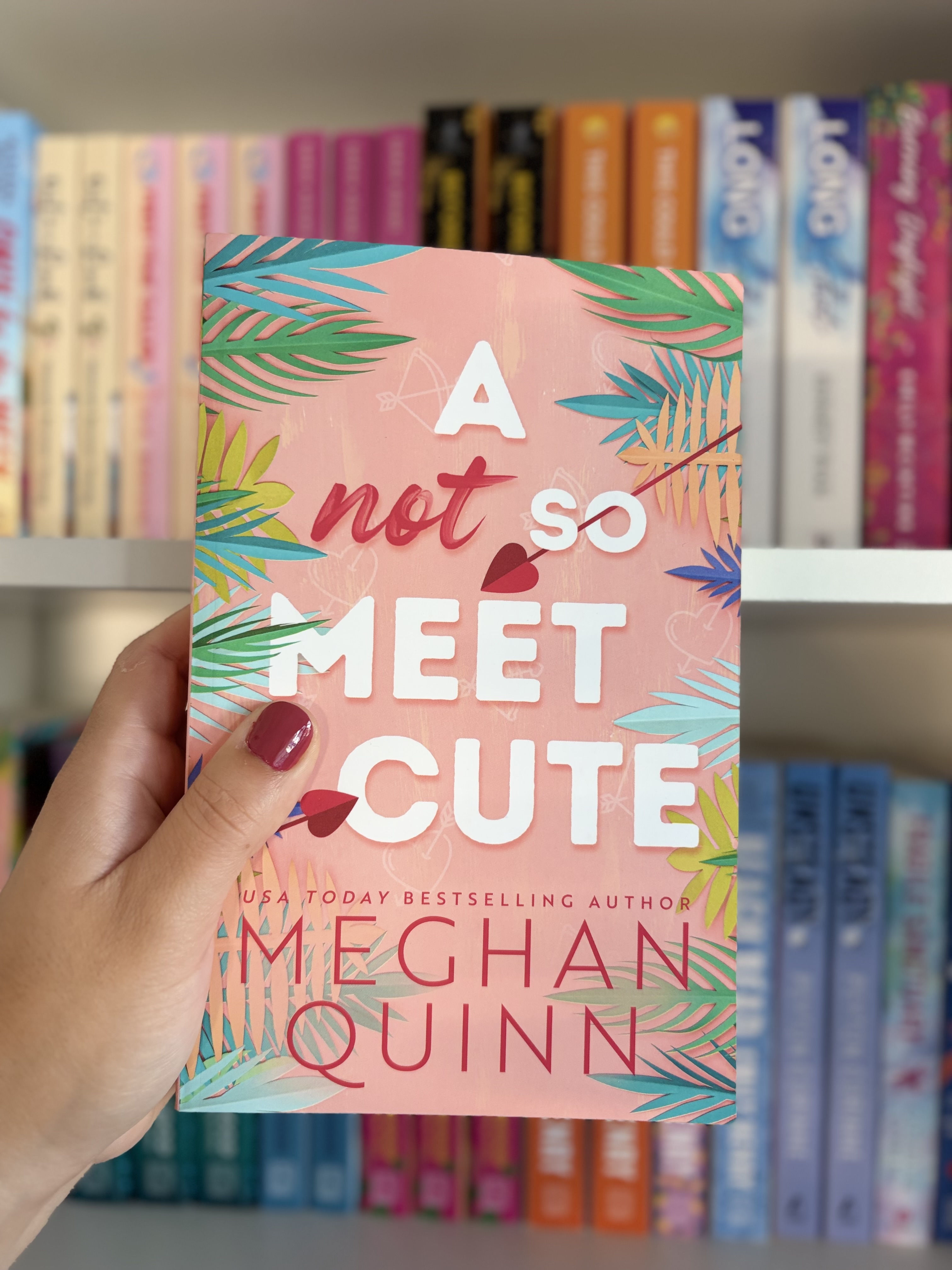 A Not So Meet Cute by Meghan Quinn 