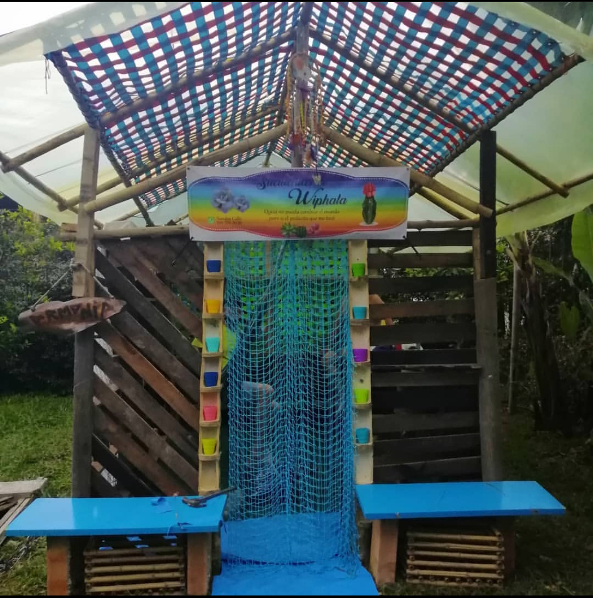 Plantas sembradas con todo el amor que se le puede brindar para dar vida .