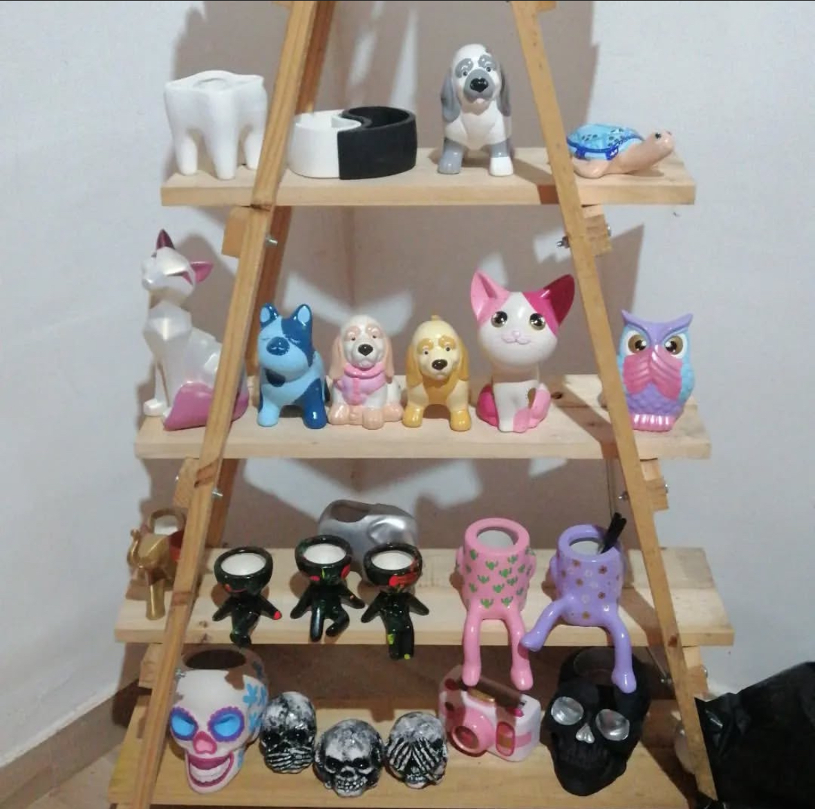 Plantas sembradas con todo el amor que se le puede brindar para dar vida .