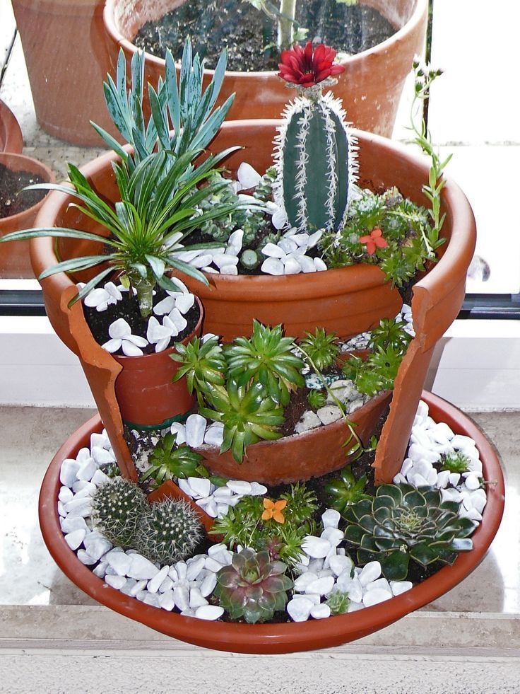 Jardín de suculentas en macetas rotas
