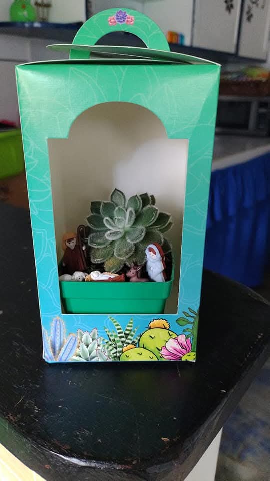 Mini jardín suculenta